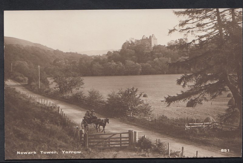 Scotland Postcard - Newark Tower, Yarrow   BH5818