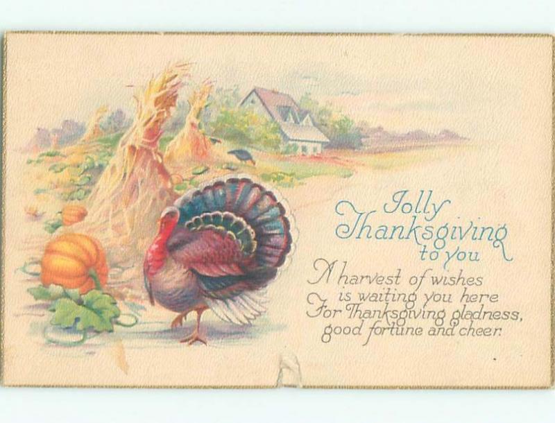 Divided-Back THANKSGIVING SCENE Great Postcard AA0531