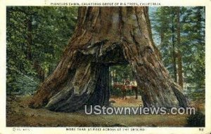 Pioneers Cabin - Calaveras Big Tree Grove, CA