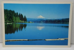Silver Lake Washington Vintage Postcard