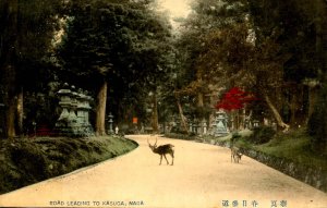 Japan - Nara. Road Leading to Kasuga