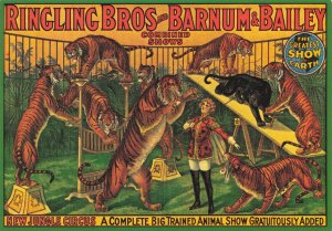 Ringling Bros & Barnum Bailey Jungle Tigers Circus Poster Advertising Postcard