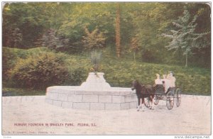 PEORIA, Illinois; Humane Fountain in Bradley Park, Horse-drawn carriage, 1900...