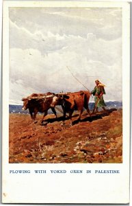 Plowing with Yoked Oxen, Palestine Scripture Gift Mission Vintage Postcard E38