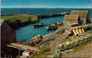 Canada Scenery at Blue Rocks Nova Scotia Postcard C075