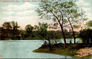 Massachusetts Brookline Muddy Brook The Lake