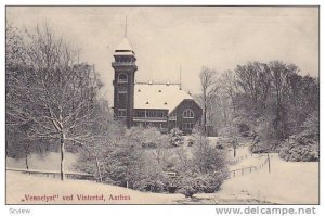 AARHUS , Denmark , 00-10s ; Vennelyst ved Vintertid