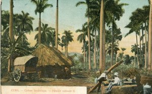 Postcard  Early Landscape Scene in Cuba.       S6
