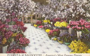 Podesta and Baldocchi Florists San Francisco California America's Most Famous...