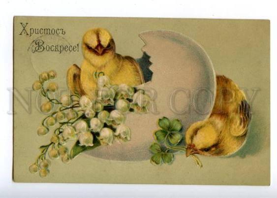 160487 EASTER Chicken in Egg lily of the valley Vintage PC