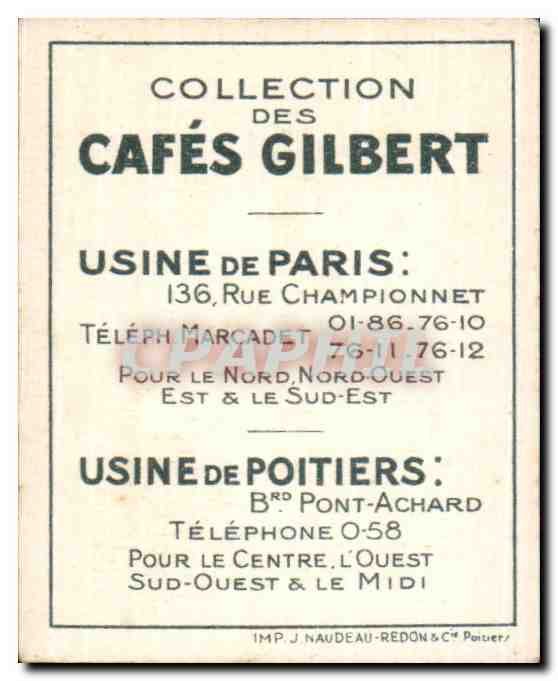 Image Cafes Gilbert Doree Or Saint Peter Gilbert Cafes Fish