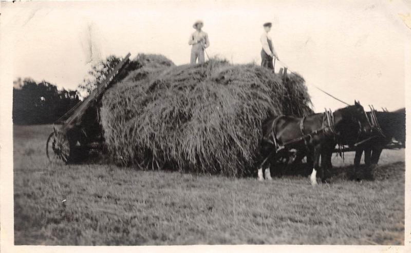 D86/ Occupational RPPC Real Photo Postcard c1910 Farmer Hay Wagon Horses 10