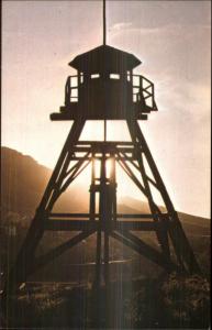 Helena MT Fire Observation Tower Postcard