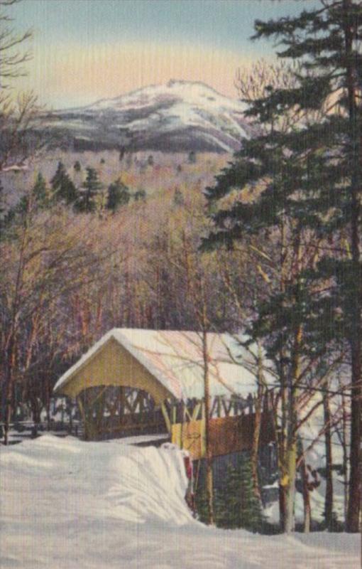 New Hampshire Franconia Mt Liberty and Covered Bridge At The Flume Curteich