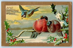 Christmas Postcard Birds And Berries Embossed Bennington Vermont VT 1911 Antique