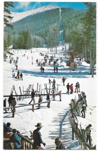 Arizona Snowbowl Ski Area San Fancisco Peaks Flagstaff Arizona