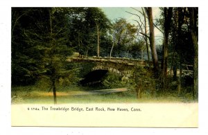 CT - New Haven. East Rock Park, The Trowbridge Bridge