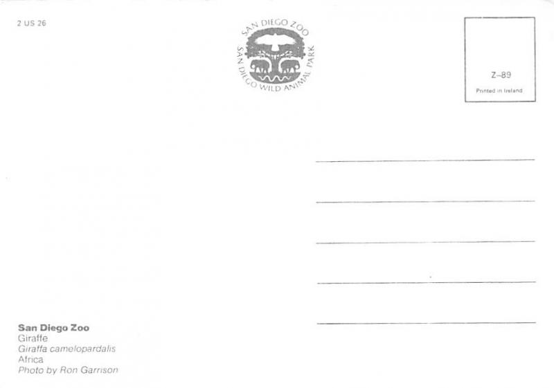 San Diego Zoo - Giraffe