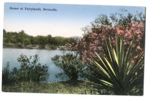 Postcard Scene Fairylands Bermuda