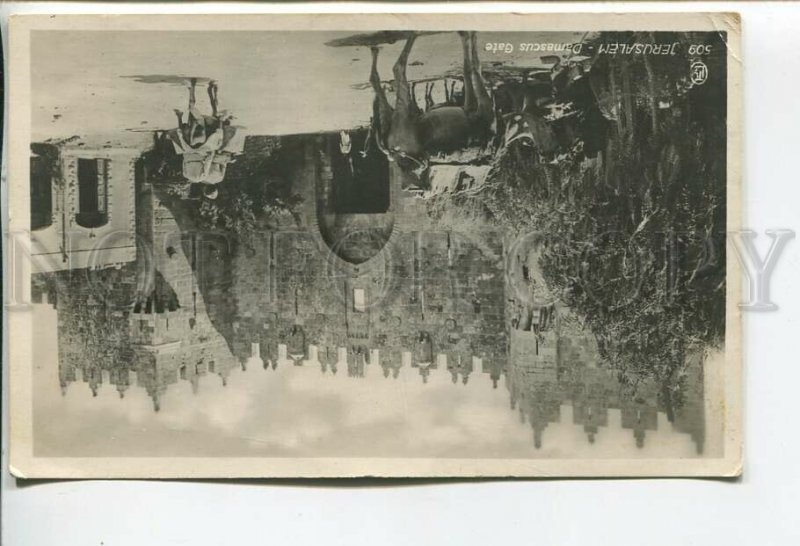 460833 Israel Palestine Jerusalem Damascus Gate camels RPPC to France from Egypt