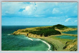 Presqu'ile, Cabot Trail, Cape Breton, Nova Scotia, Vintage Chrome Postcard #3