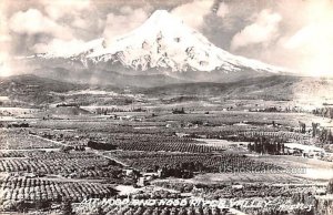 Mount Hood - Hood River Valley, Washington