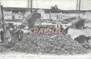 COPY Cancale Sorting Oysters