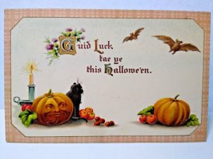 Halloween Postcard Fantasy Vampire Bats Human Face Pumpkin Cat Gottschalk 2399