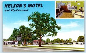 PADUCAH, KY Kentucky ~ Roadside NELSON'S MOTEL &  RESTAURANT  c1950s Postcard