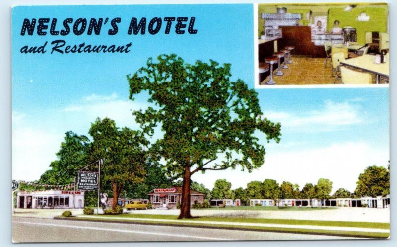 PADUCAH, KY Kentucky ~ Roadside NELSON'S MOTEL &  RESTAURANT  c1950s Postcard