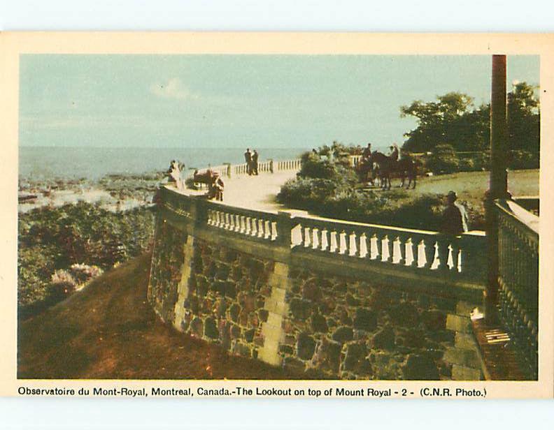 Montreal Canada Mount Royal Look Out 2 Observatory Horse View Postcard # 6031