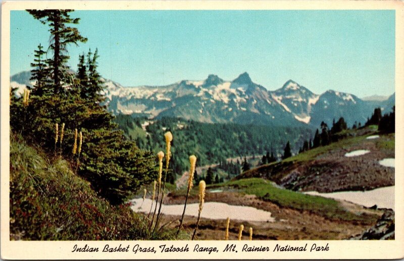 Tatoosh Ridge Mount Rainer National Park Washington Scenic Chrome Postcard 