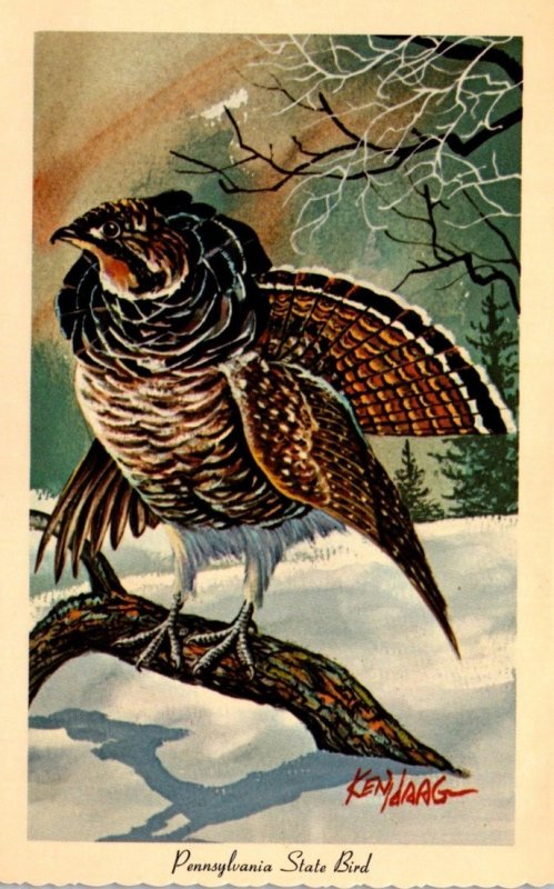 Pennsylvania State Bird Ruffed Grouse