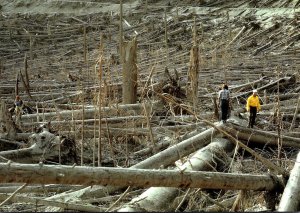 Washington Mount St Helens Eruption Damaga