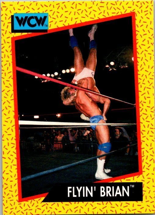 1991 WCW Wrestling Card Flyin' Brian Brian Pillman sk21213