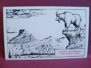 Old Postcard Artist Signed Lake Chelan WA
