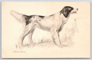 English Setter Hunting Dogs At The Grounds Painting Artwork Postcard