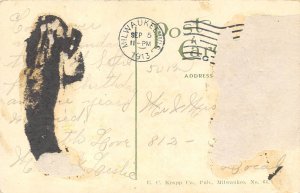 Milwaukee Wisconsin 1913 Postcard Lake Park & Drive 