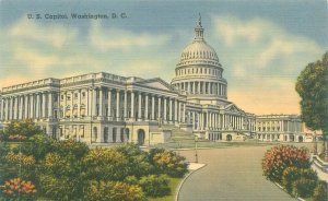 Washington, DC US Capitol Linen Postcard Unused, Shrubs and Flowers