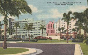 11084 Magnificent Hotels at Miami Beach, Florida