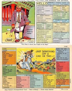 Comic Correspondence  CHECK THE BOX~DOG & MAN WITH CIGAR  *2* c1940's Postcards