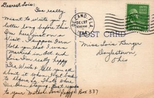 FL, Florida Linen Large Letter Postcard, Curt Teich