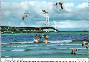 Postcard MI Mackinac Bridge and Gulls