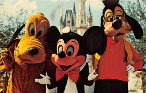 Magic Kingdom Mickey Mouse, Pluto and Goofy Disneyland, CA, USA Disney 1974 