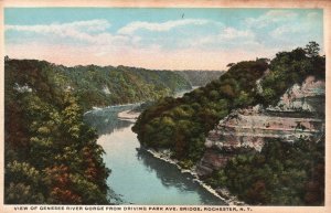 Vintage Postcard 1920's View Genesee River Gorge Driving Park Rochester New York