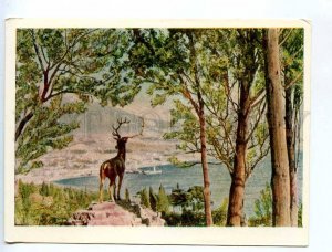 238859 RUSSIA CRIMEA YALTA ADVERTISING Yalta Seaside Park old postcard