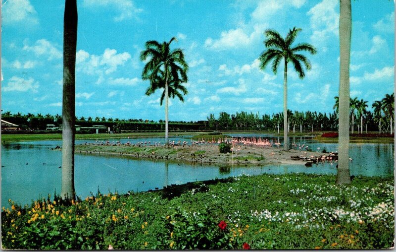 Hialeah Race Course Flamingo Island Hialeah Florida Chrome Cancel WOB Postcard 