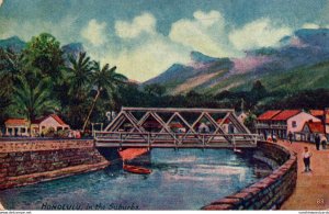 Hawaii Honolulu View In The Suburbs