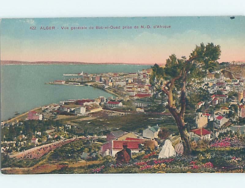 Unused Old Postcard PANORAMIC VIEW Alger - Algiers Algeria F5377