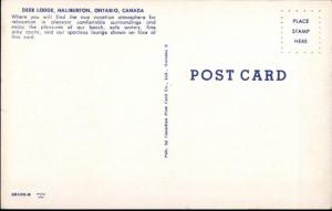 Halibuton Ontario Deer Lodge Classic 50s Furniture D‚cor Postcard